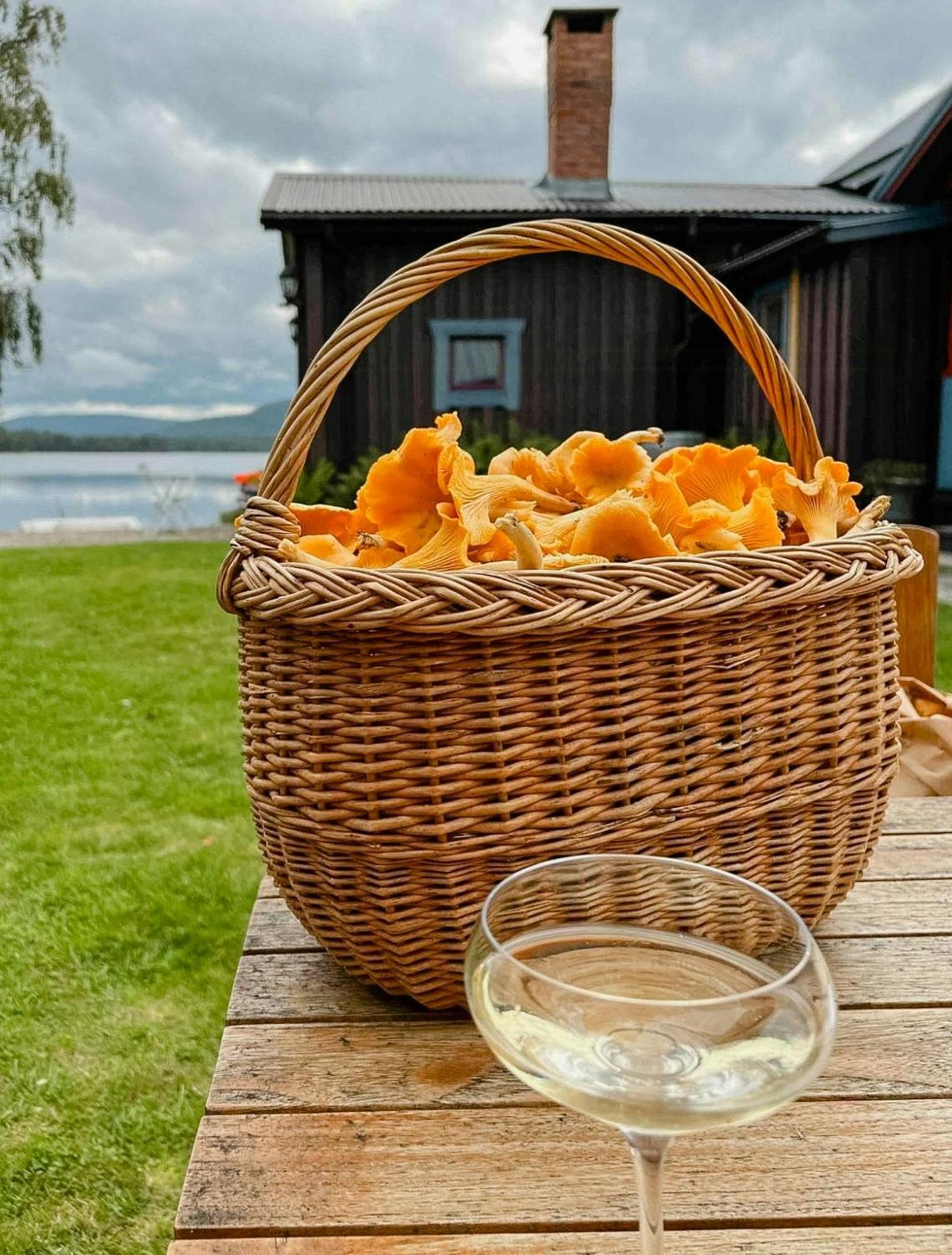 Rural House With Panoramic View Over Lake Hansa Villa Näsviken Exterior foto